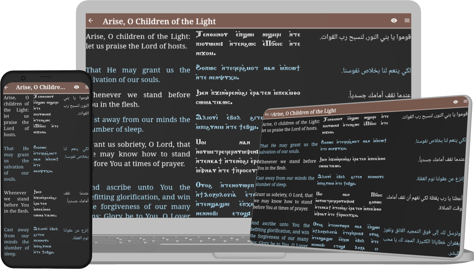 One Coptic Library - Read content with multiple language translations